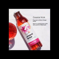 Kokum Ginger Sparkling Kombucha (Pack of 6)
