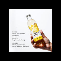 Pineapple Spice Sparkling Kombucha (Pack of 6)