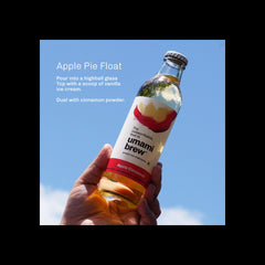 Apple Cinnamon Sparkling Kombucha (Pack of 6)