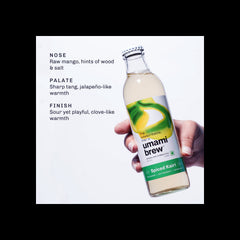 Spiced Kairi Sparkling Kombucha (Pack of 6)