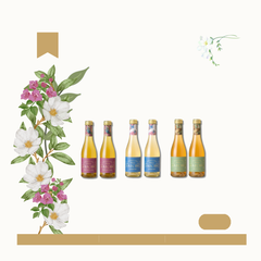 Discover Sparkling Teas